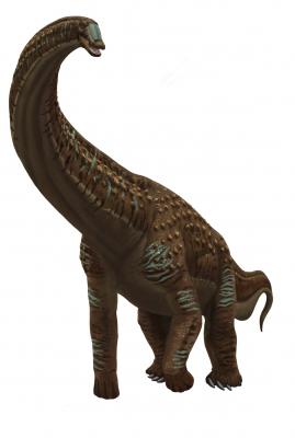 Alamosaurus Rendering